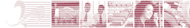 Wazee Group IT consulting & Professional Services