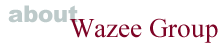 About Wazee Group: What we do & why we.re different
